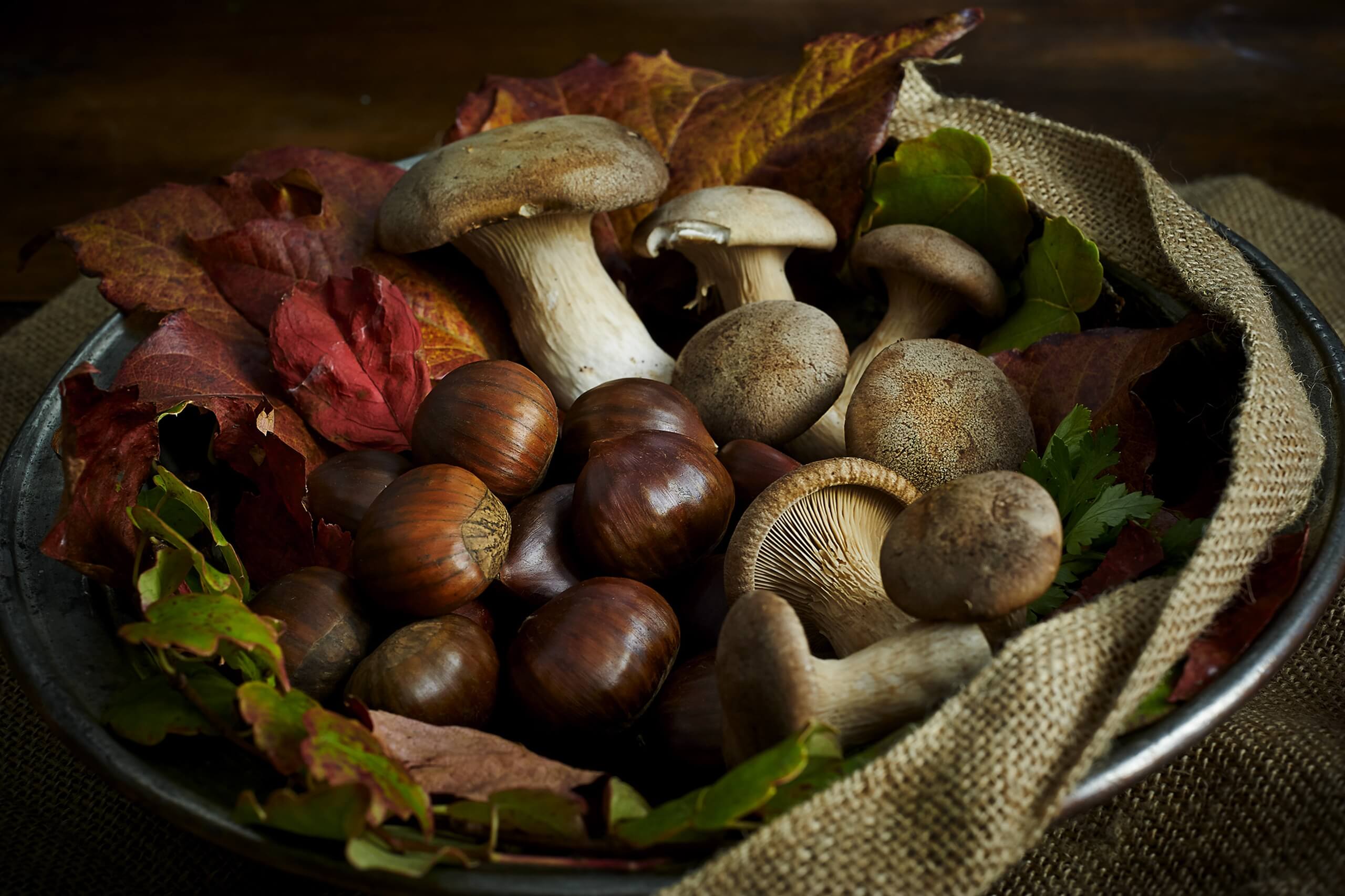 masseria-della-croce-puglia-apulia-italia-italy-cestino-funghi-castagne-basket-chestnut-mushrooms